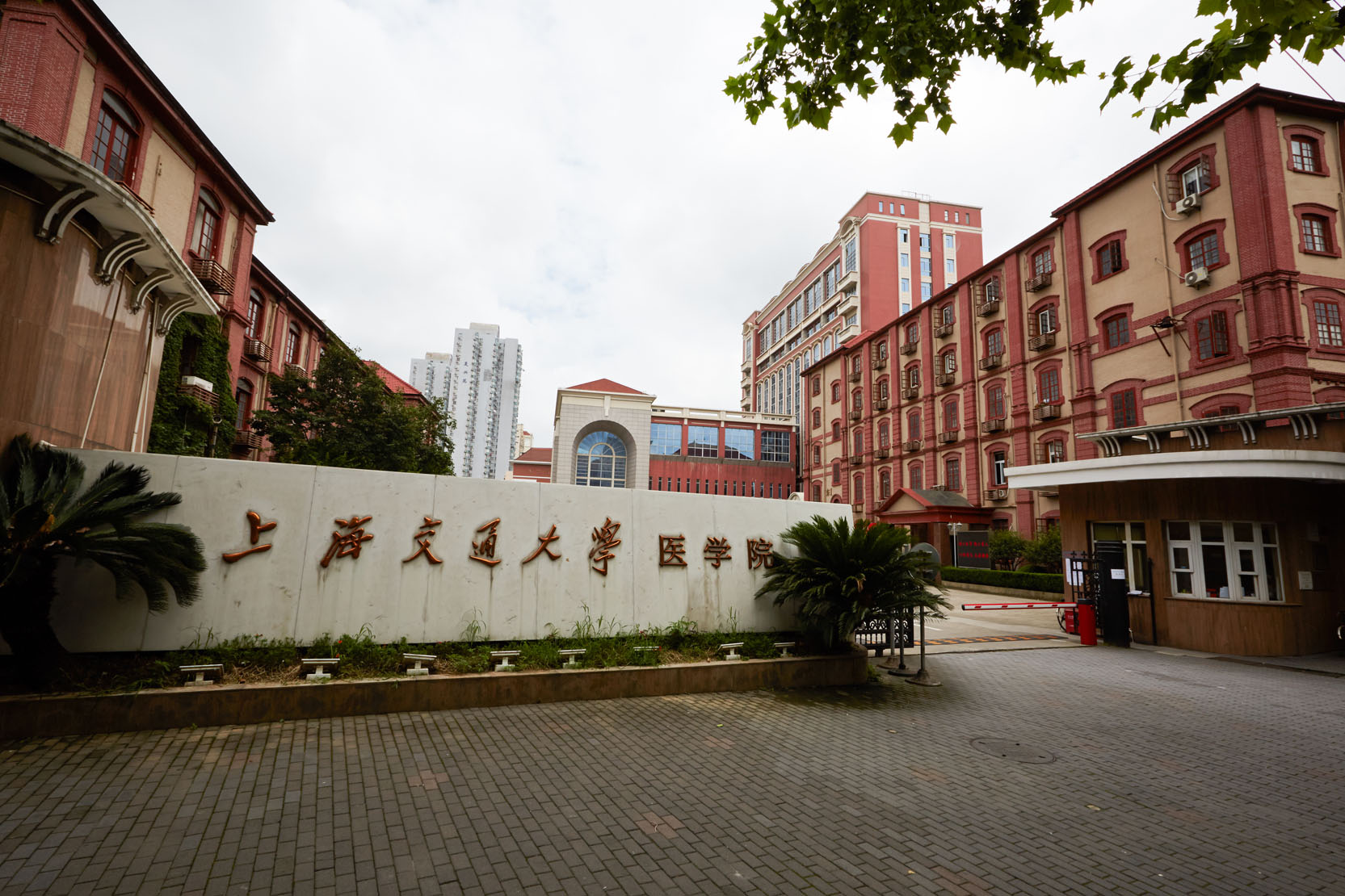 上海交通大學